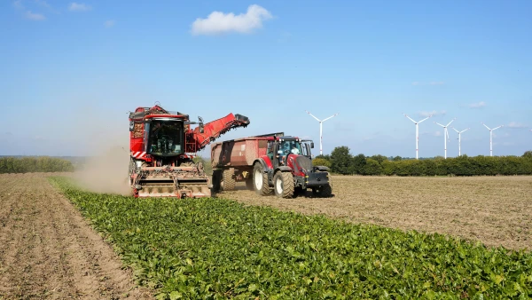 Agribusiness Innovation: Technology for Rural Productivity and Inclusion