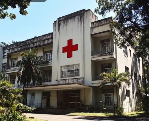 Telemedicine in Rural Health: How Technology Connects Remote Communities to Doctors